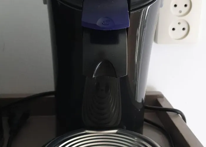 De Lingehoeve بيت ريفي *