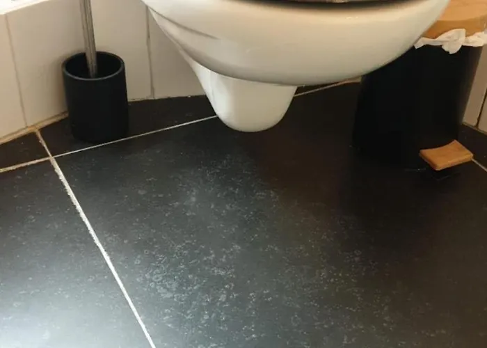 بيت ريفي De Lingehoeve Oosterwijk